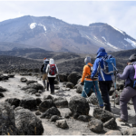 What Is The Difference Between The Kilimanjaro Machame And The Lemosho Route?